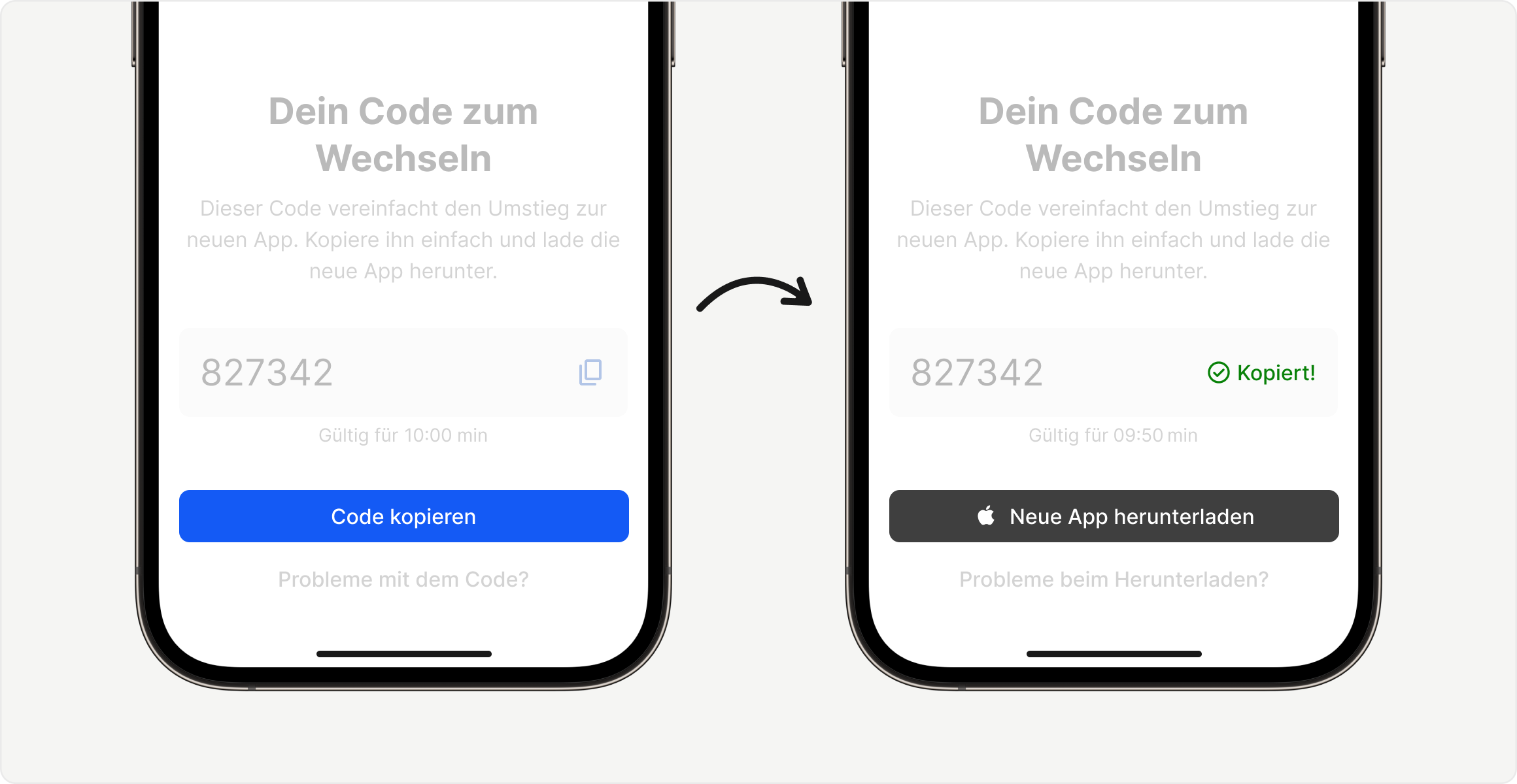 zendesk_transition-de-copy_code.png