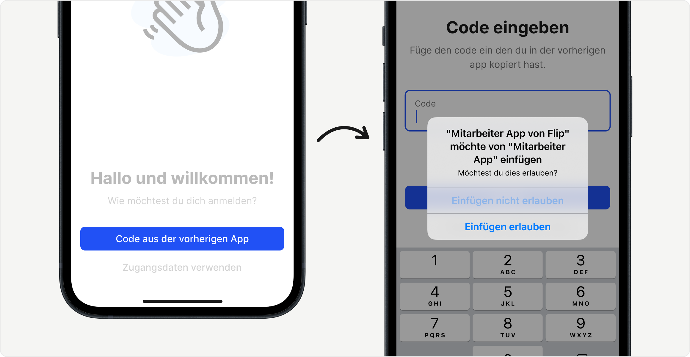zendesk_transition-de-insert_code.png