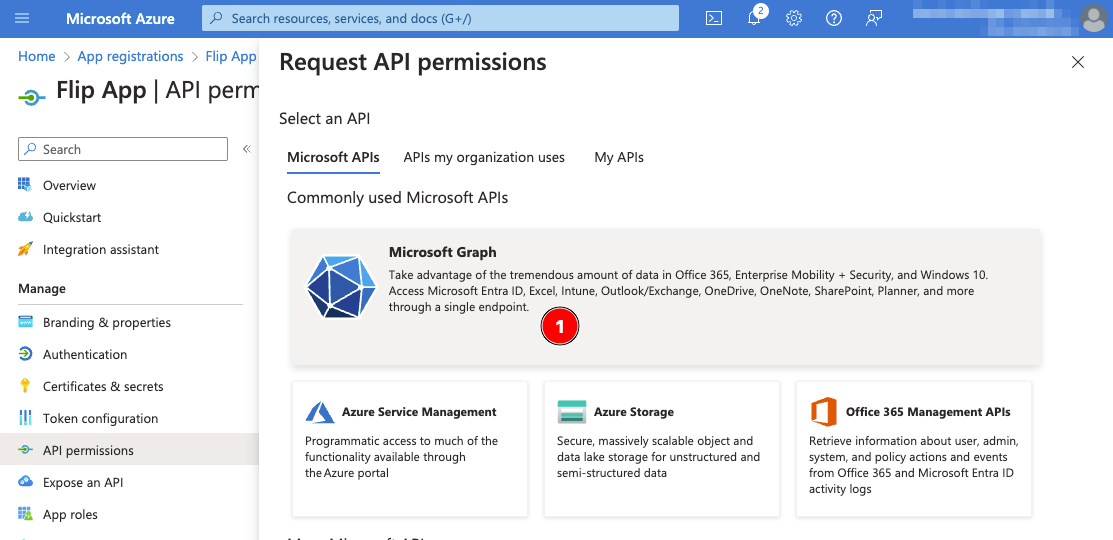 azure_api_permission_2.png